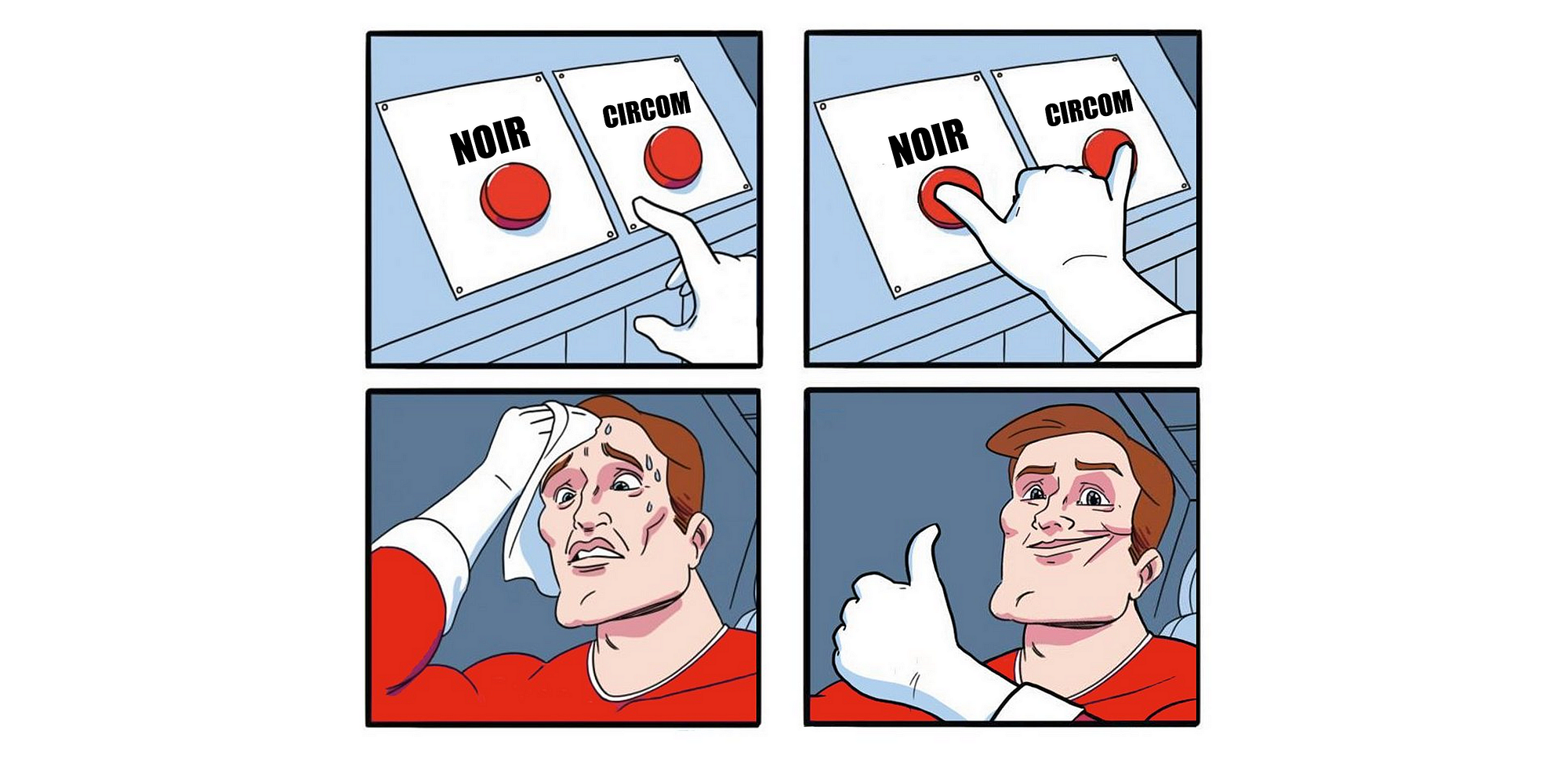 Choose your ZK Language